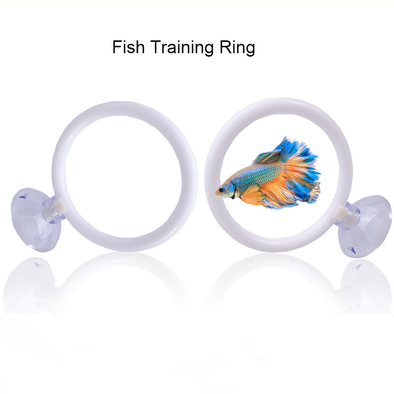 1 pz Anello di Addestramento A - Gymnastic Ring recensione e prezzo