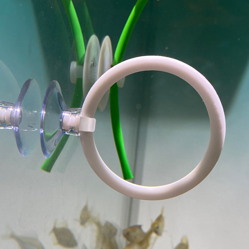 1 pz Anello di Addestramento A - Gymnastic Ring recensione e prezzo
